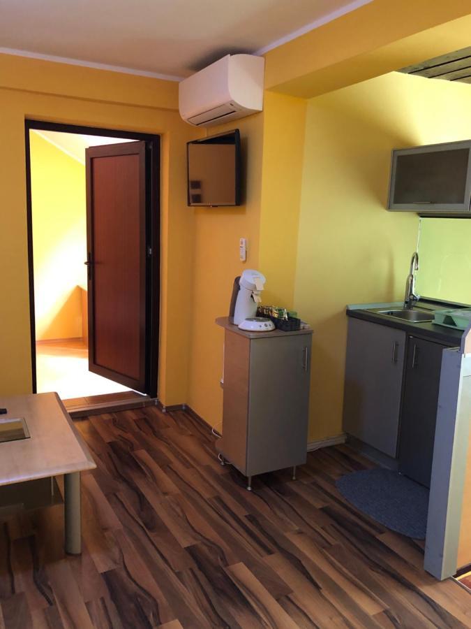 Pensiunea Haus Paltinul Sibiu Buitenkant foto