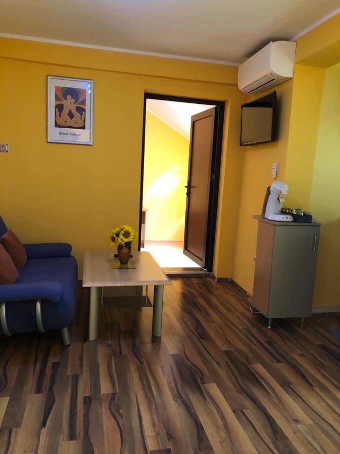 Pensiunea Haus Paltinul Sibiu Buitenkant foto